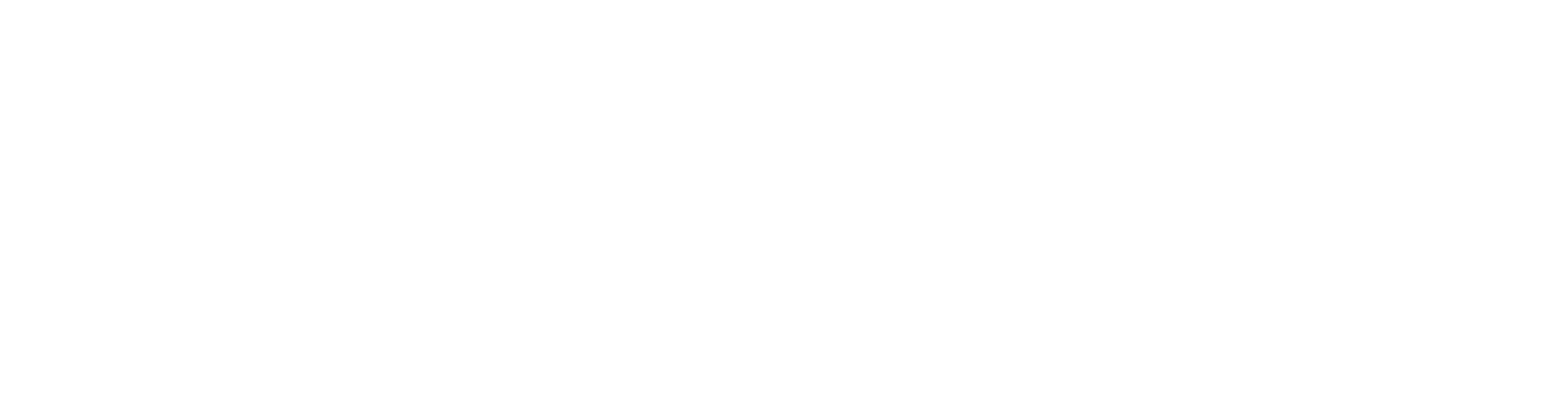 Kaltura_Logo_Horizontal_White